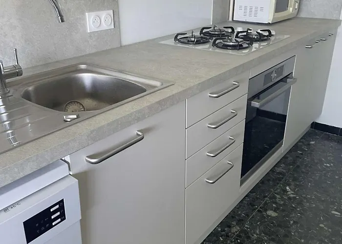 Apartman Face Climatise Avec Parking Au Grau-du-roi - Fr-1-731-141